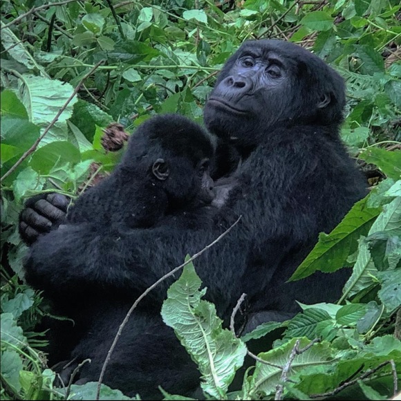 ✨ GroundUp Africa ✨ - Picture 3 of 7